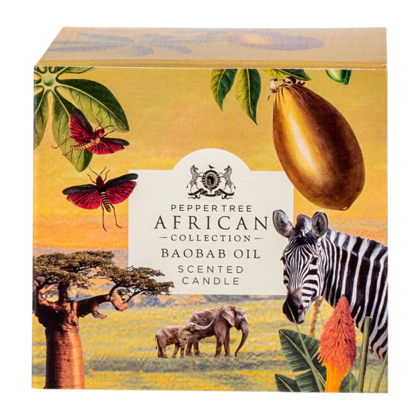 Baobab Scented Candle 200 ml