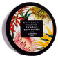 Fynbos Body Butter & Body Scrub Gift Box 250 ml x 2